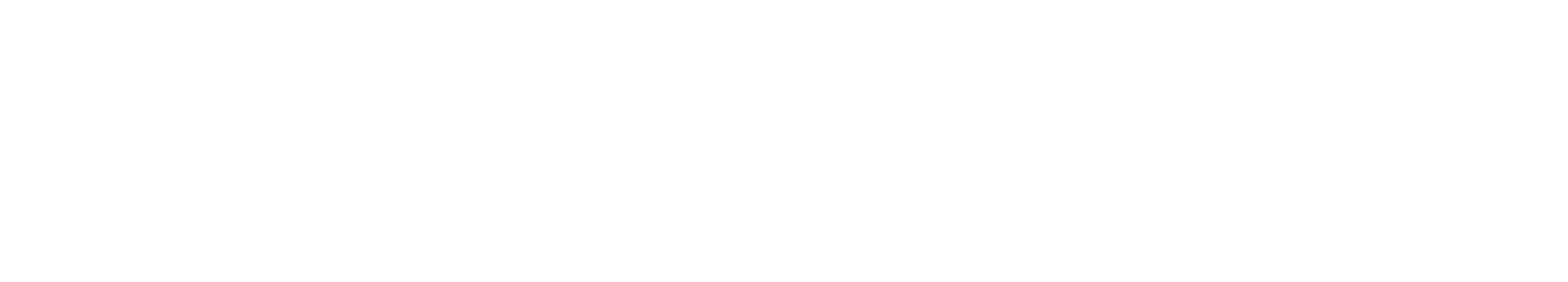 Newteam Soluções Digitais